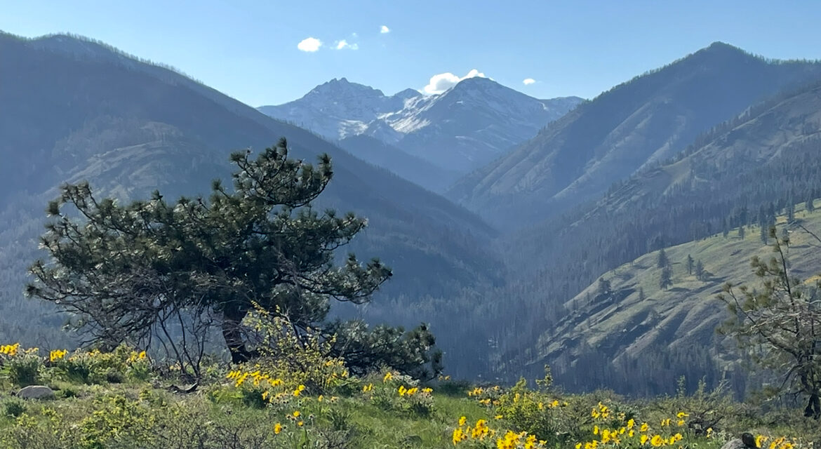 Washington, Community Property and Inherited Assets