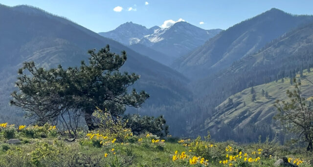 Washington, Community Property and Inherited Assets