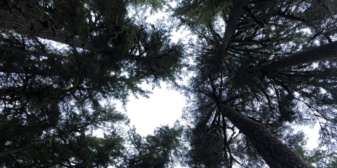 Fighting Back When Police Cross the Line in Criminal Cases